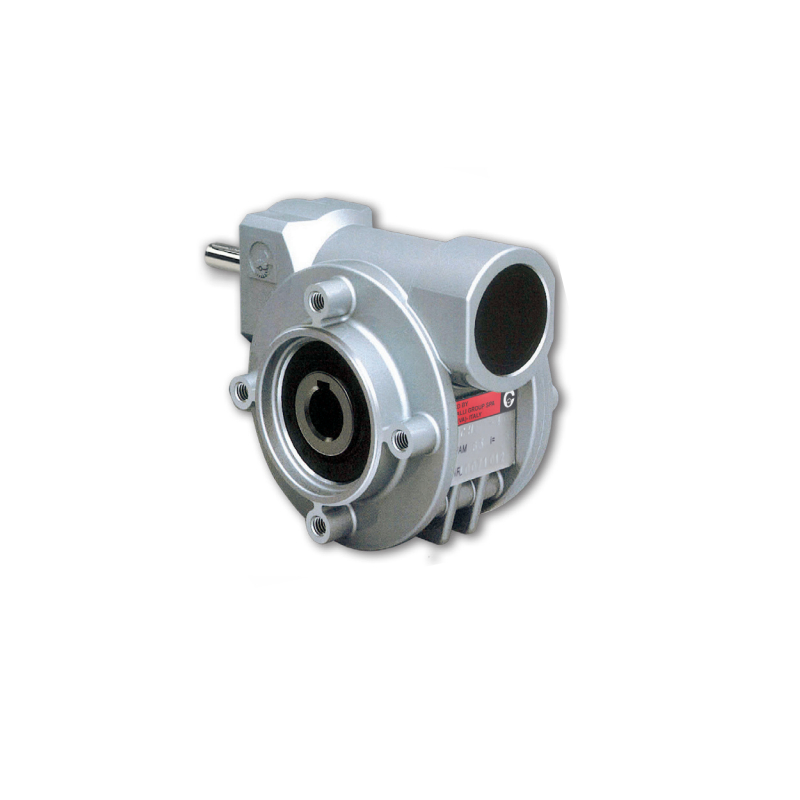 CHR 03P-20 reducer Chiaravalli